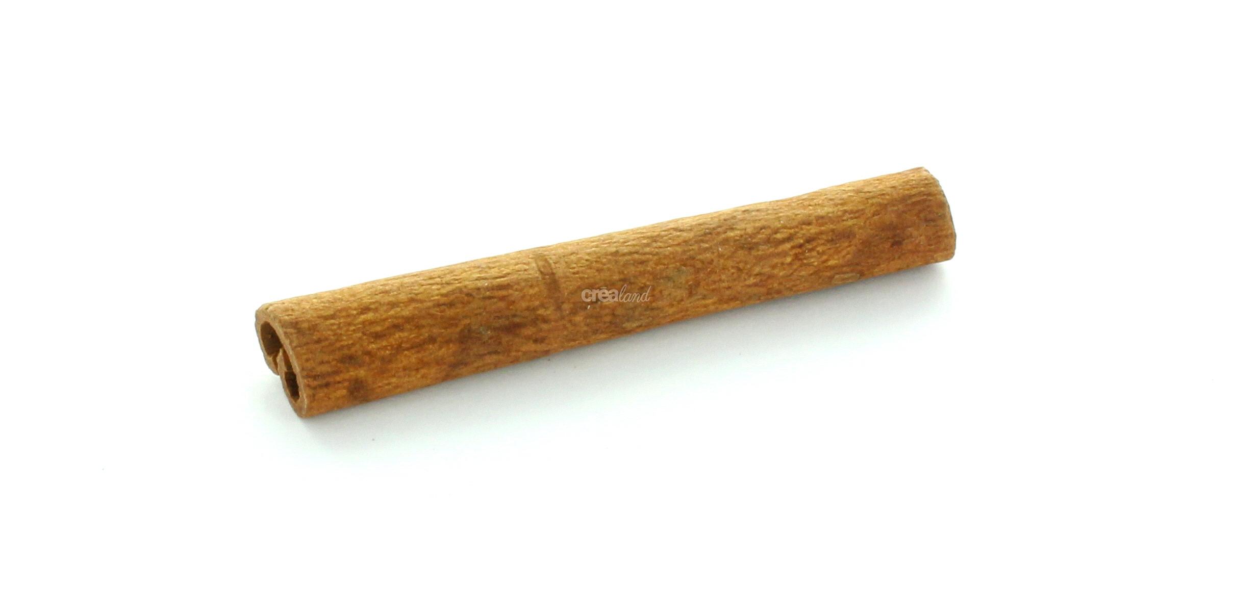 Bâton d'écorce de cannelle 8cm - Label Fête