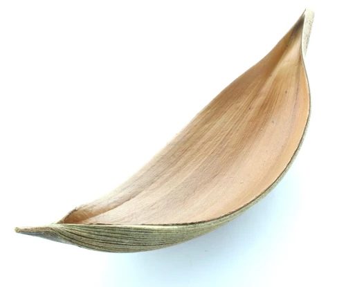 Les feuilles de coco ont une forme de barque originale pour une décoration exotique
