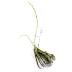 Le Tillandsia Duratii M en bouton est une plante sans terre à la fleur très parfumée